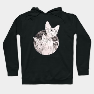 Space Kitties Hoodie